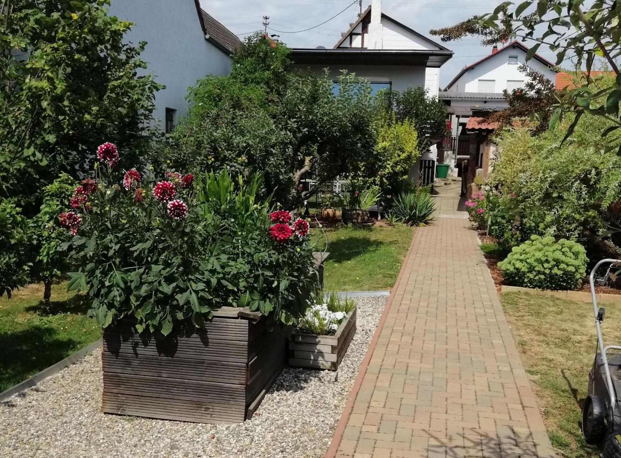 Ferienhaus Gruendaublick エクステリア 写真